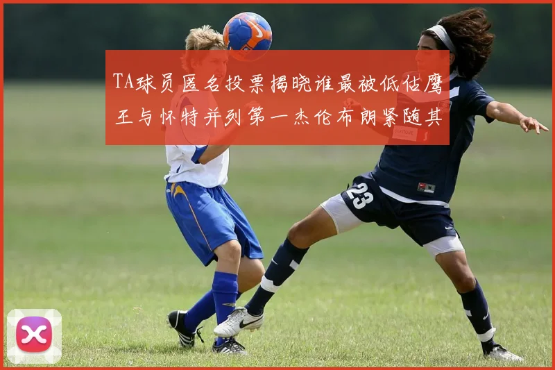 TA球员匿名投票揭晓谁最被低估鹰王与怀特并列第一杰伦布朗紧随其后
